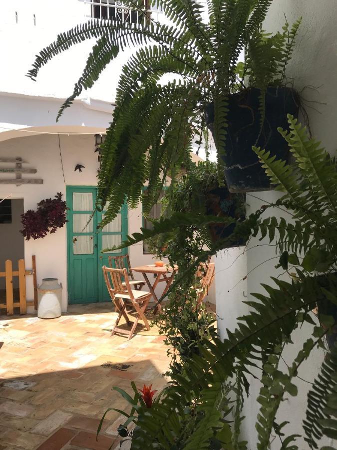 Casa Aguamarina Appartement